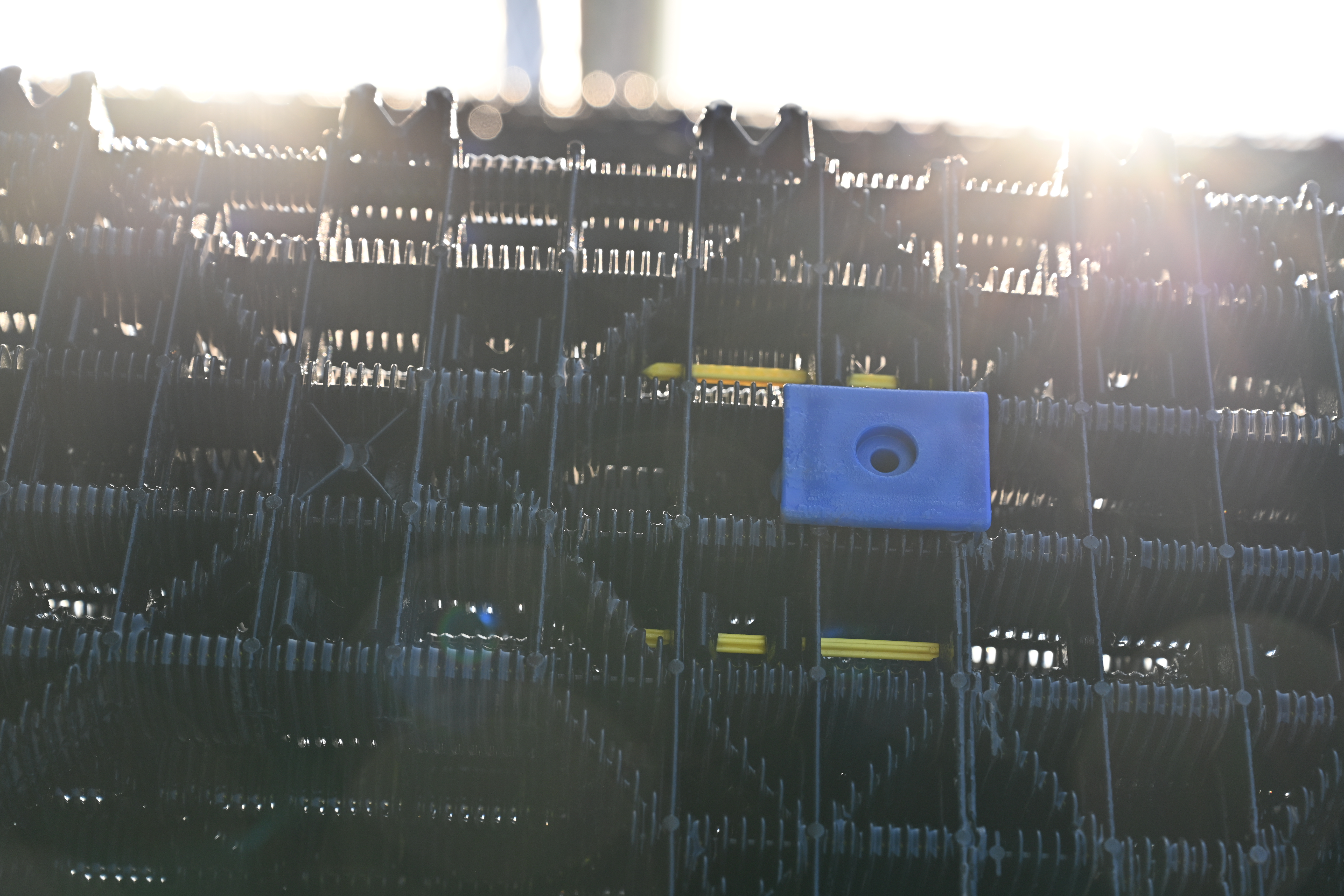 Matrix with sun behind illuminating moisture in the air