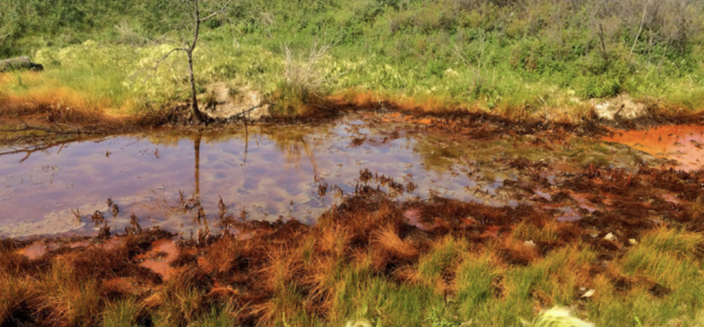 oil and gas wastewater spills