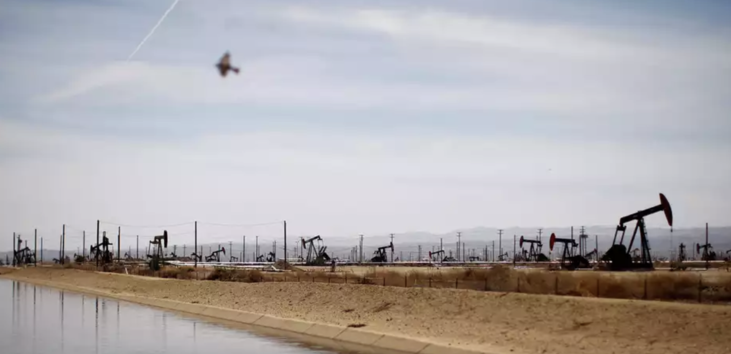 Image fracking in California with well pumps along a water pond and bird in view